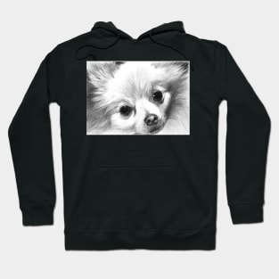 GRIFFEN Hoodie